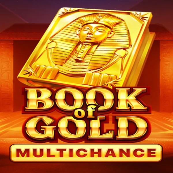 Book of Gold Multichance logo by Playson Slota Casino
