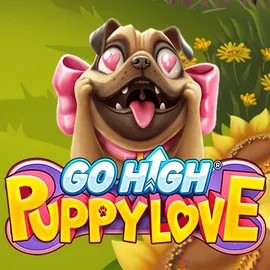 Go High Puppy Love logo by RubyPlay at Slota Casino